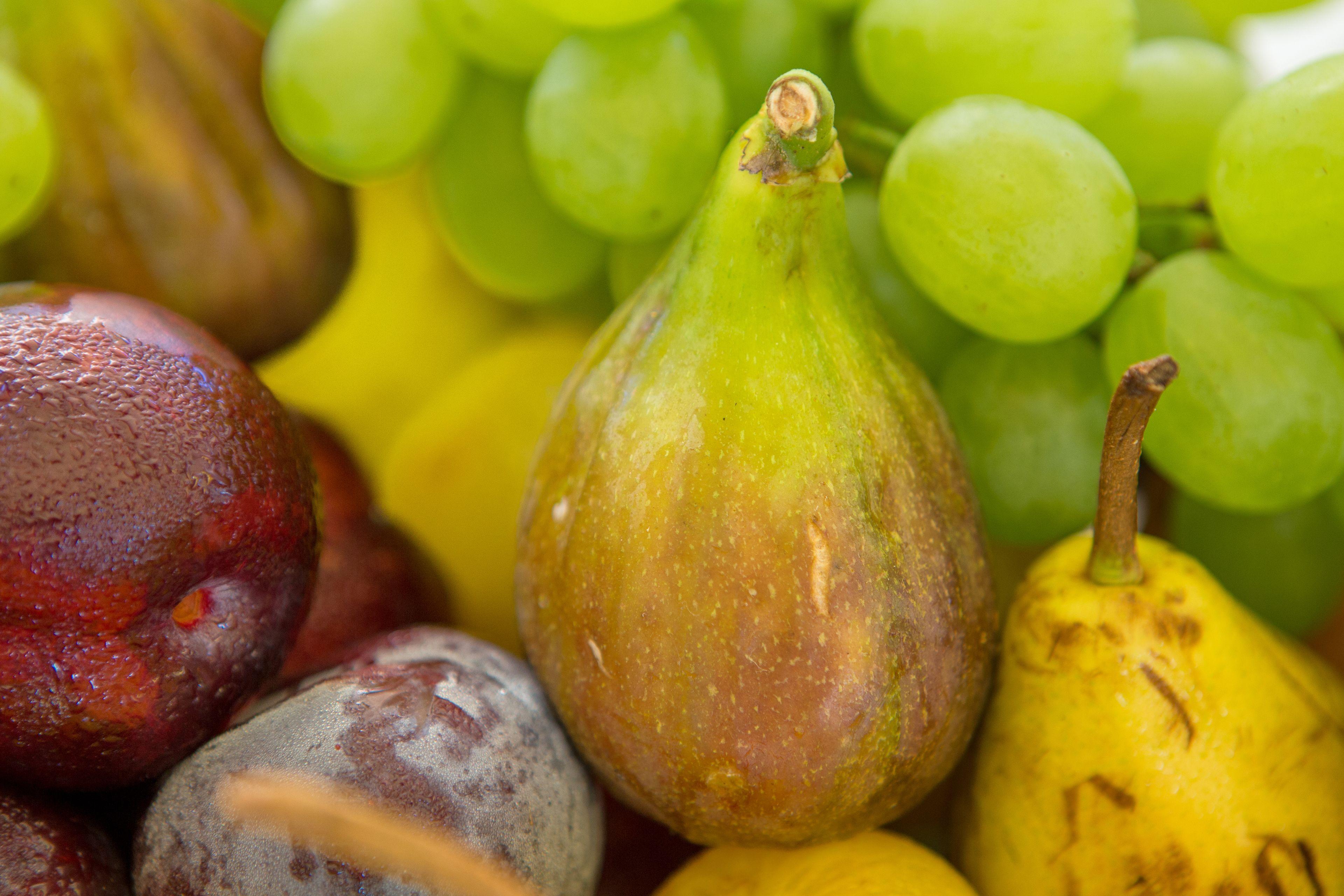 Hotel Greif Lido di Jesolo